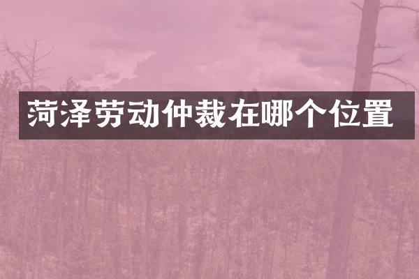 菏泽劳动仲裁在哪个位置
