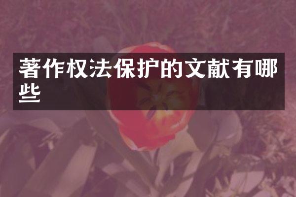 著作权法保护的文献有哪些