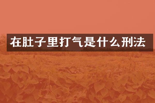 在肚子里打气是什么刑法