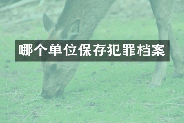 哪个单位保存犯罪档案