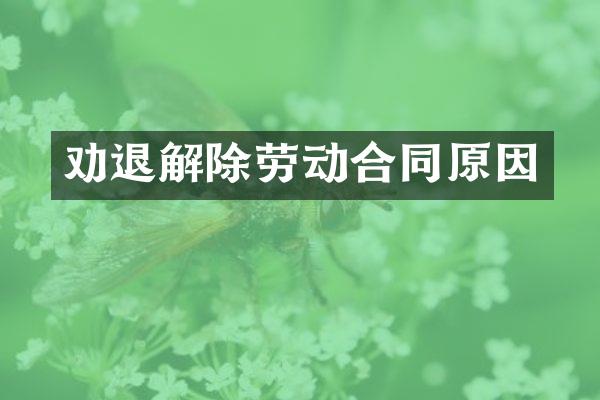 劝退解除劳动合同原因