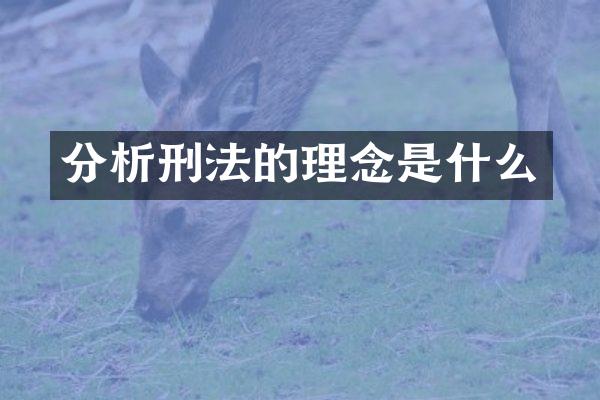 分析刑法的理念是什么