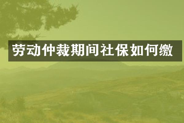 劳动仲裁期间社保如何缴