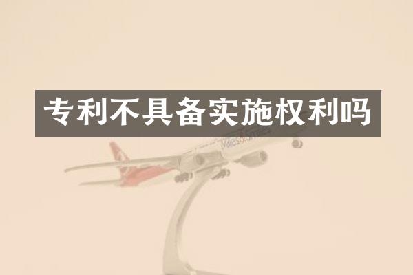 专利不具备实施权利吗
