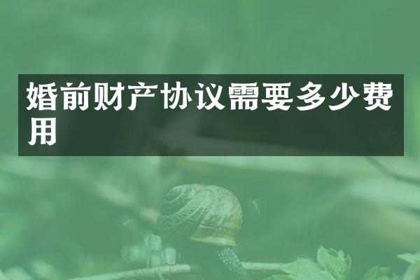 婚前财产协议需要多少费用