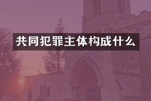 共同犯罪主体构成什么