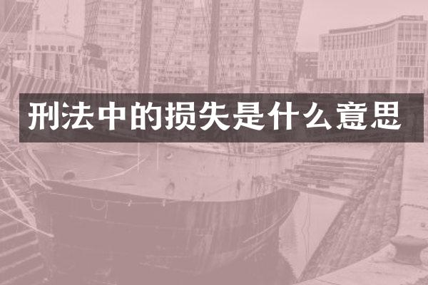 刑法中的损失是什么意思