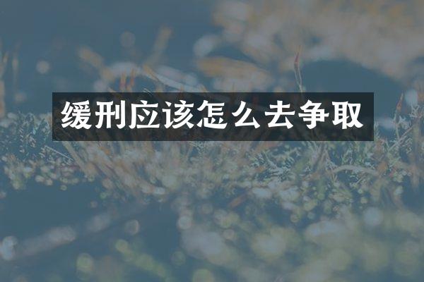 缓刑应该怎么去争取