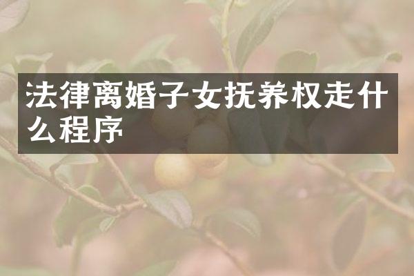 法律离婚子女抚养权走什么程序