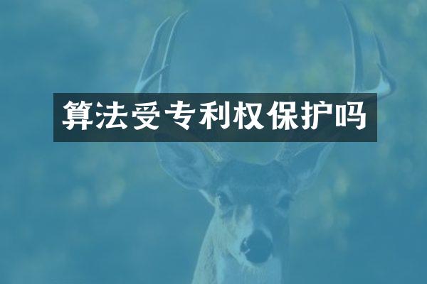 算法受专利权保护吗
