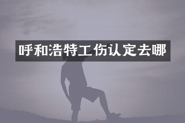 呼和浩特工伤认定去哪