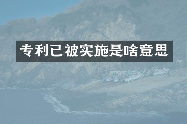 专利已被实施是啥意思