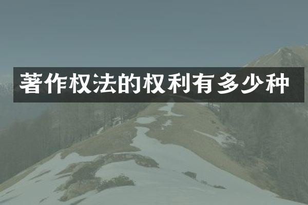 著作权法的权利有多少种