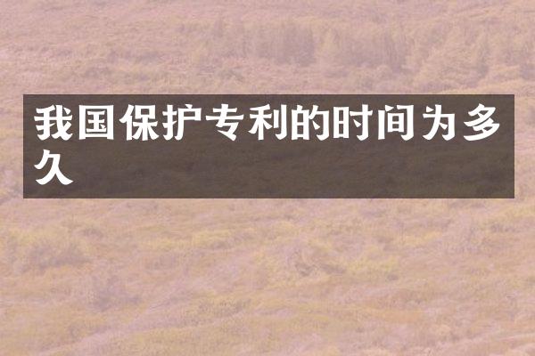 我国保护专利的时间为多久