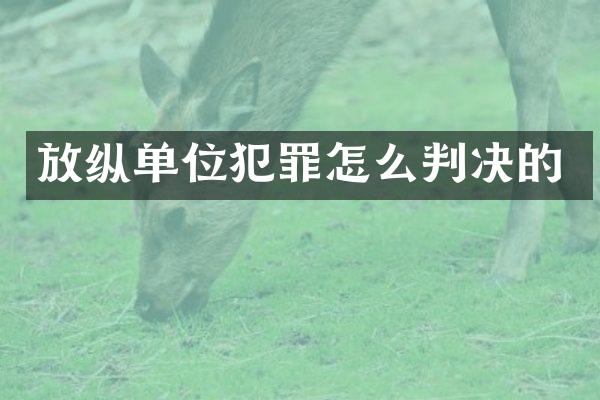 放纵单位犯罪怎么判决的