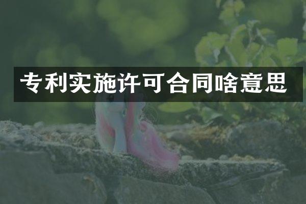 专利实施许可合同啥意思