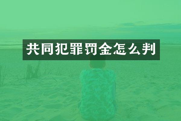 共同犯罪罚金怎么判