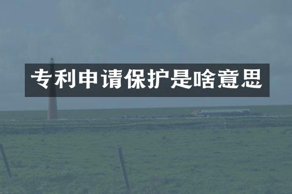 专利申请保护是啥意思