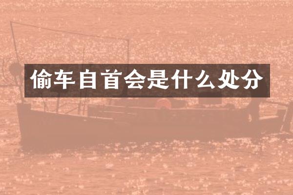 偷车自首会是什么处分