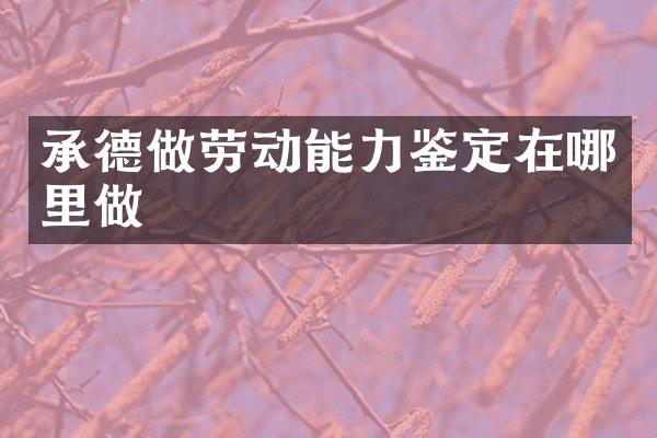 承德做劳动能力鉴定在哪里做