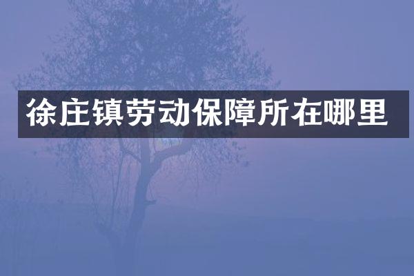 徐庄镇劳动保障所在哪里