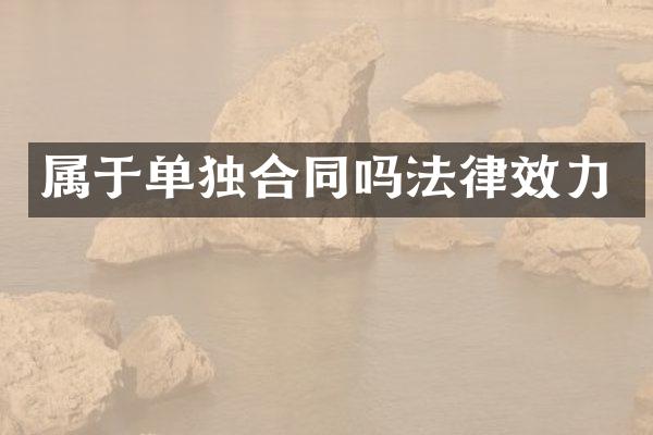 属于单独合同吗法律效力