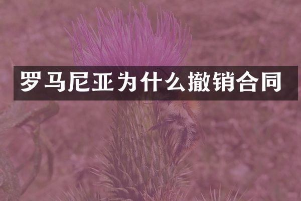 罗马尼亚为什么撤销合同