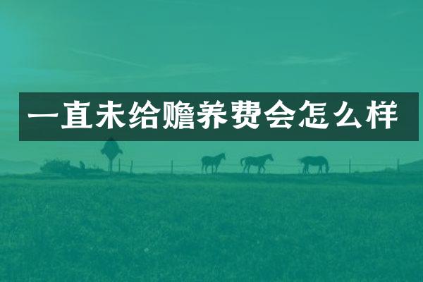 一直未给赡养费会怎么样