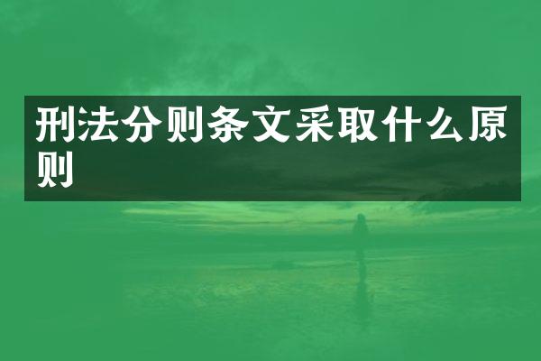 刑法分则条文采取什么原则