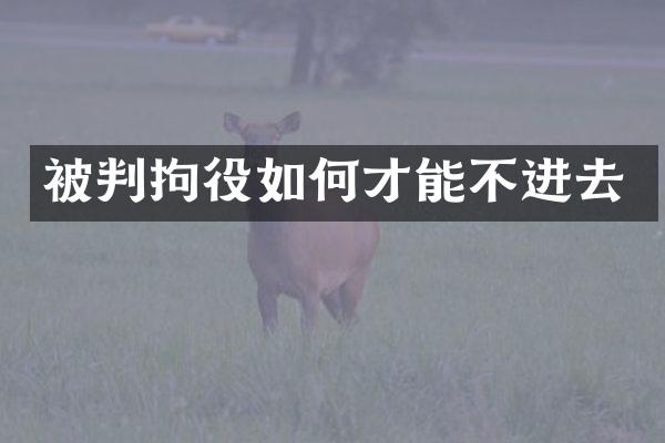 被判拘役如何才能不进去