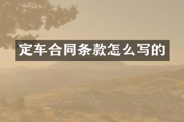 定车合同条款怎么写的
