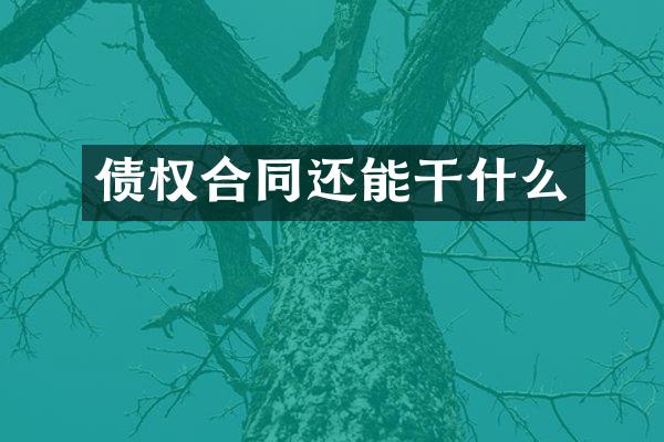 债权合同还能干什么