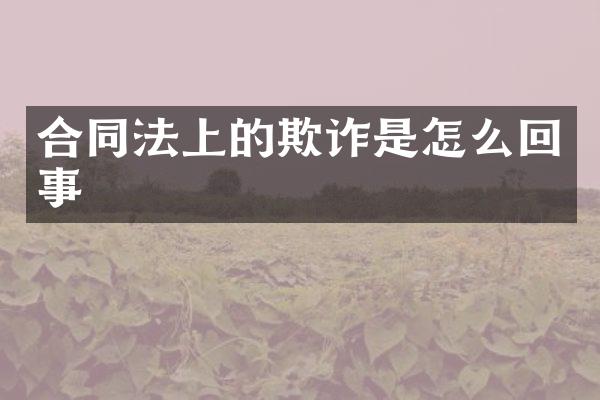 合同法上的欺诈是怎么回事