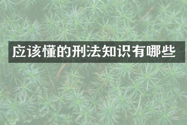 应该懂的刑法知识有哪些