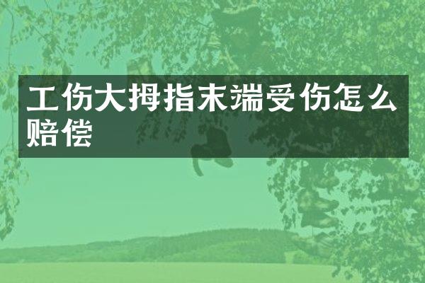 工伤大拇指末端受伤怎么赔偿