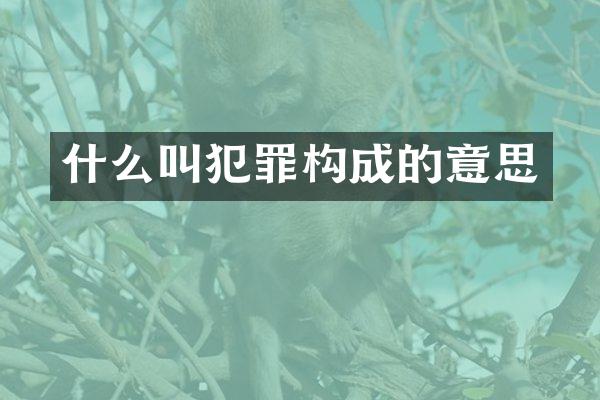 什么叫犯罪构成的意思