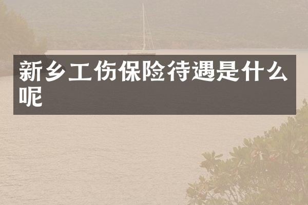 新乡工伤保险待遇是什么呢