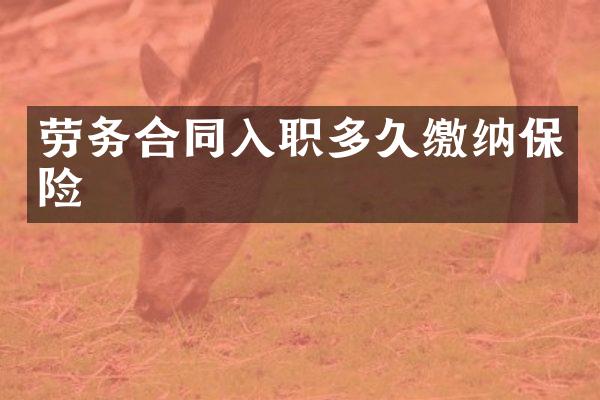 劳务合同入职多久缴纳保险