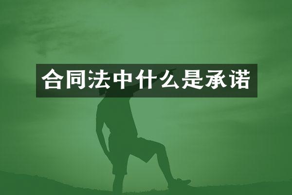 合同法中什么是承诺
