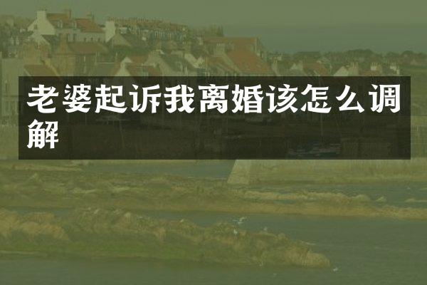 老婆起诉我离婚该怎么调解