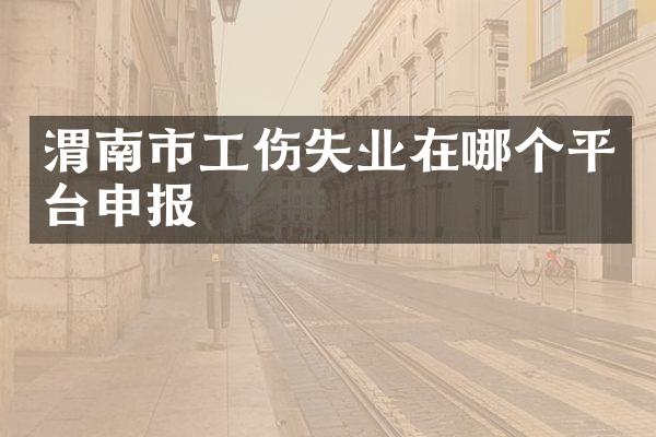 渭南市工伤失业在哪个平台申报