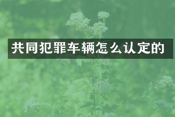 共同犯罪车辆怎么认定的