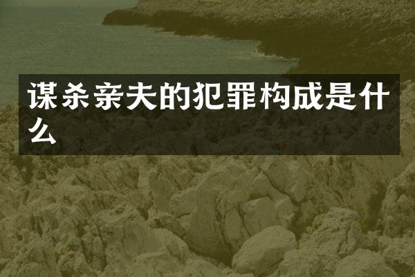 谋杀亲夫的犯罪构成是什么