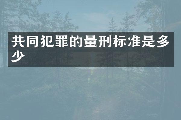 共同犯罪的量刑标准是多少