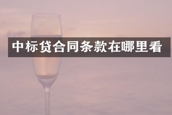 中标贷合同条款在哪里看