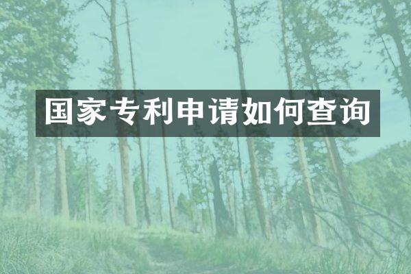 国家专利申请如何查询
