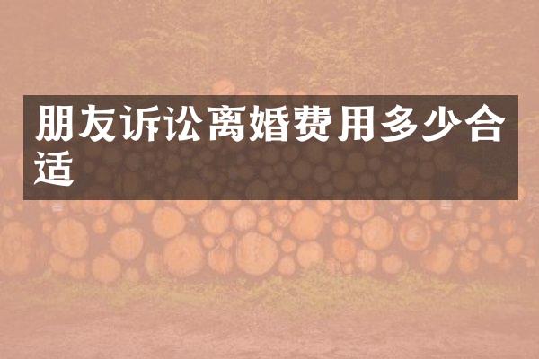 朋友诉讼离婚费用多少合适