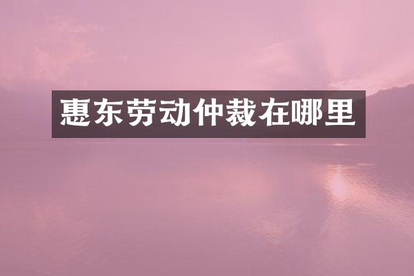 惠东劳动仲裁在哪里