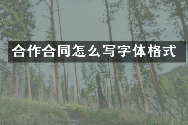 合作合同怎么写字体格式