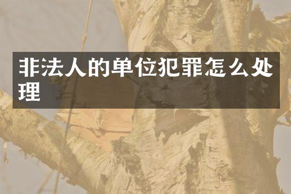 非法人的单位犯罪怎么处理